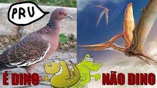 Por que aves são dinossauros e pterossauros não são? (#Pirula 261)
