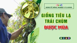  Kinh tế nông nghiệp 17-3-2025 |Thông tin hữu ích ||BPTV