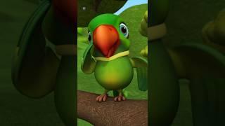 Hare Rang Ka Main Tota, मैं तोता मैं तोता, Mithu Mithu Tota #shorts #maintota #poems #babysongs