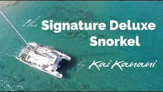 The Signature Deluxe Snorkel - 2021