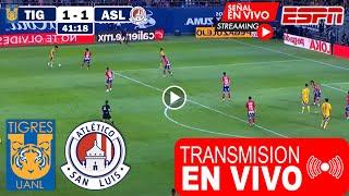 Tigres vs. San Luis en vivo, donde ver, a que hora juega Cuartos de Final VUELTA Tigres vs San Luis