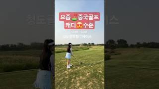 요즘 #중국골프장 #캐디 수준 #golf
