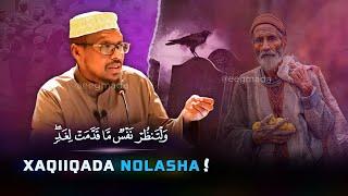 Muxaadaro Nolashaada raad ku reebi doonta  | Xaqiiqada Nolasha Aduunka | Sheekh Mustafe | @eegmada