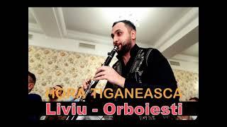 HORA TIGANEASCA la Clarinet si Acordeon-Liviu de la Orboiesti hora tiganeasca originala 2010