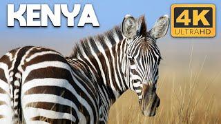 Kenya: A Breathtaking Journey Across Land, People & Wildlife | 4K UHD Documentary