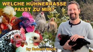 Welche Hühnerrasse passt zu mir? Überblick über verschiedene Hühner: Marans, Serama, Silverudds Blå