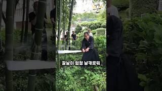 카타나 칼날의 예리함