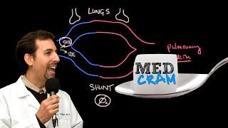 Shunting Explained Clearly (Pulmonary Shunt)