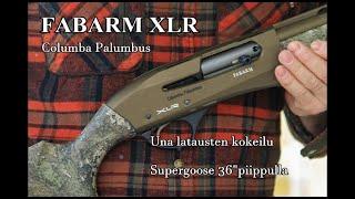 Fabarm xlr columba palumbus