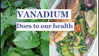 VANADIUM DOES TO YOUR BODY