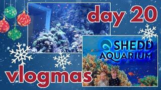 shedd aquarium and SNOW in Chicago! || VLOGMAS DAY 20