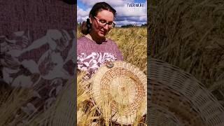 ️Артистка. Катерина Бочкарёва мастер лозоплетения из питомника ТВЕРСКАЯ ИВА️ #плетениеизивы