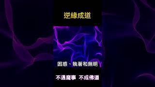 【逆緣成道】不遇魔事，不成佛道 #開悟 #覺醒 #靈性成長