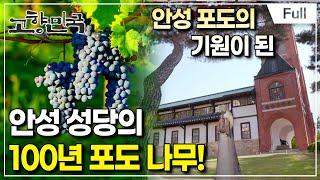 [Full] 고향민국 - 안성의 매력 오래된 미래