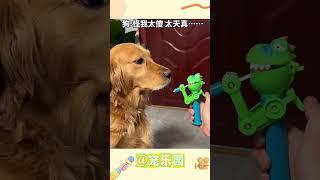 狗：怪我太傻 太天真······ #宠乐园 #轻松一刻 #动物