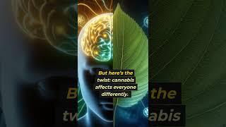 Brain on Weed: The Science of Cannabis Explained #facts #2024 #fyp #shorts