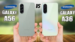 SAMSUNG GALAXY A56 VS SAMSUNG GALAXY A36