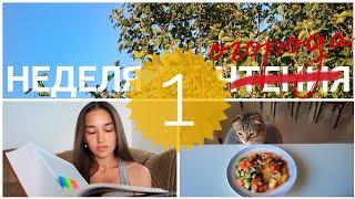 КНИЖНЫЕ ВЫХОДНЫЕ ️ ОТВЕРЖЕННЫЕ, ЖАРА И ОГОРОД