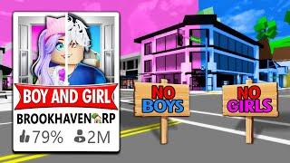 I Created a BOYS VS GIRLS Brookhaven!