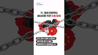 배터리 필수 소재 '흑연'의 글로벌 공급망은?흑연에 대한 TMI #shorts