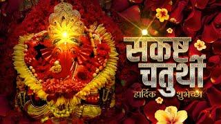 Sankashti Chaturthi Special Whatsapp Status | Sankashti Chaturthi Status |Siddhivinayak Bappa Status