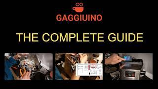 Gaggiuino Complete Guide - Final Installation, Troubleshooting & Pro Advices