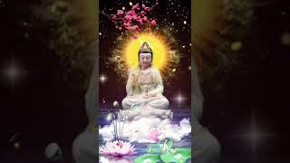 #南無觀世音菩薩 #佛教 #南無阿彌陀佛 #buddha #best #love #peace
