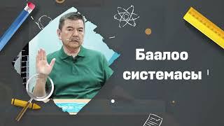 Баалоо системасы