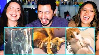 FUNNIEST DOGS & CATS | Awesome Funny Pet Animals Videos! | Reaction by Jaby, Natasha & Achara!