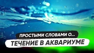 Простыми словами о течении в аквариуме и циркуляции воды