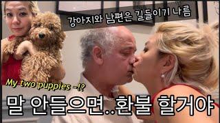 토론토 가족 새해 브이로그 - 사랑의 치킨숩 레시피 그리고...