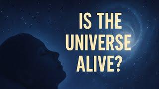 Is The Universe Alive and Conscious | Asd The Explainer