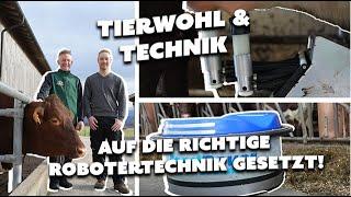 Mit dem M²erlin Melkroboter zu mehr Flexibilität und Tierwohl!