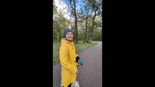 Лис в парку Таллінна/Fox in Tallinn park
