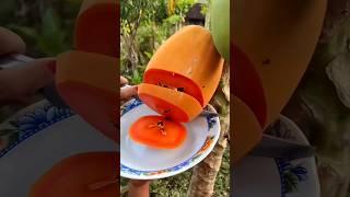 Top Amazing Facts About Food️#facts #amazingfacts #factsinhindi #foodshorts #food #shorts