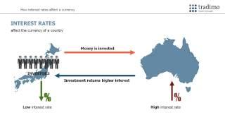 Economic indicators and their impact on currencies | tradimo