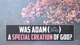 Was Adam a special creation of God? Prof El-Tobgui gives his view