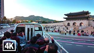 City Tour Bus in Autumn Seoul  Unforgettable City Views! | 4K