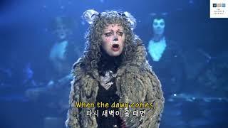 (한글자막)Musical [Cats(뮤지컬 캣츠)] -Memory