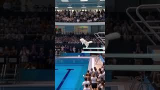Meow Olympics! Cats Water Diving!