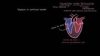 Diyastolik Kalp Yetmezliği Patofizyolojisi (Fen Bilimleri) (Sağlık ve Tıp)