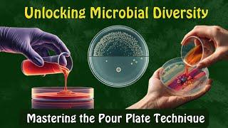 Unlocking Microbial Diversity: Pour Plate Technique Explained