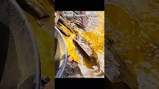 Other Finding Gold vs This Guy
