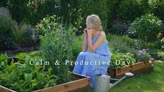 Calm & Productive Days: Mushrooming, Cooking & More in Northern Europe | Wind Down with Me