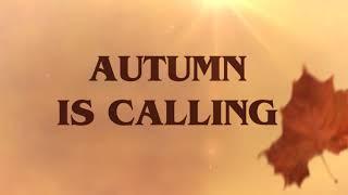 It's Fall...Time to Plan 2018 Marketing
