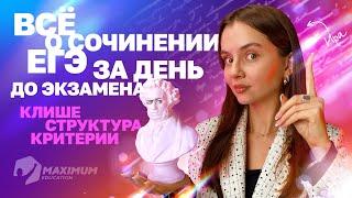 Полный разбор СОЧИНЕНИЯ ЕГЭ за день до экзамена | Клише, структура, критерии