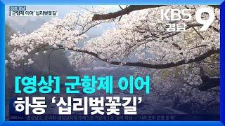 [60초 경남] 군항제 이어 하동 ‘십리벚꽃길’ / KBS  2023.03.31.