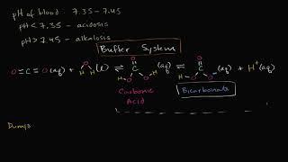 Introduction to buffers | Water, acids, and bases | Biology | Khan Academy Hebrew