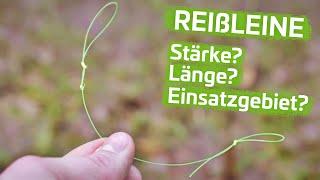 REIßLEINE richtig AUSWÄHLEN (Wallerangeln) | Stärke, Länge, Einsatzgebiet