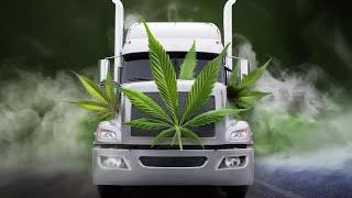 The Legalization Of Cannabis On The Trucking Industry #truckingnews #truckdriver #olesnapper #news